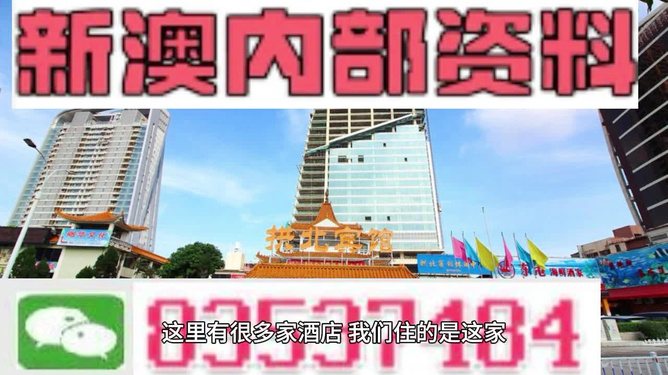 2024新澳免费资料内部玄机,全面信息解释定义_QMI9.591寻找版