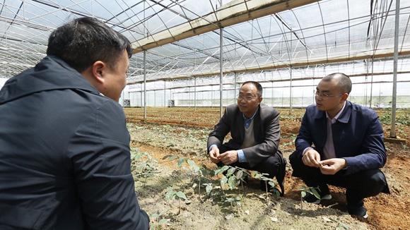 畜牧人才网最新应聘信息及动态更新