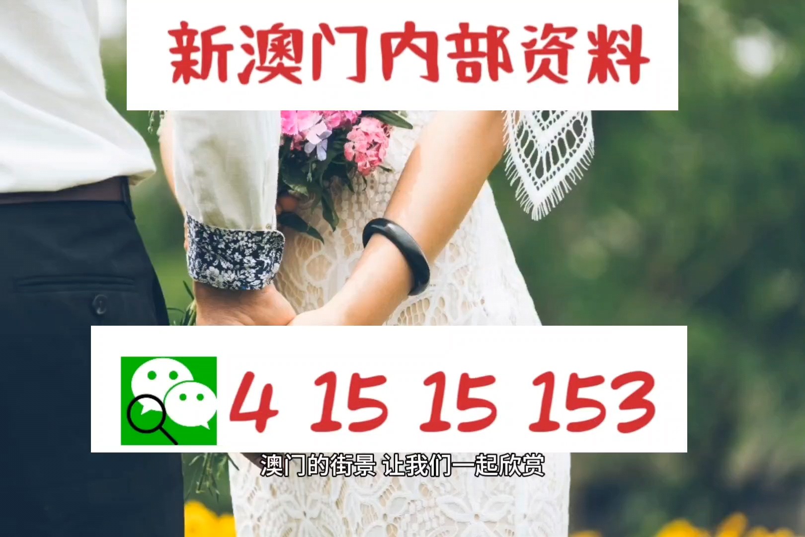澳门今晚九点30分开奖,高度协调实施_增强版41.692