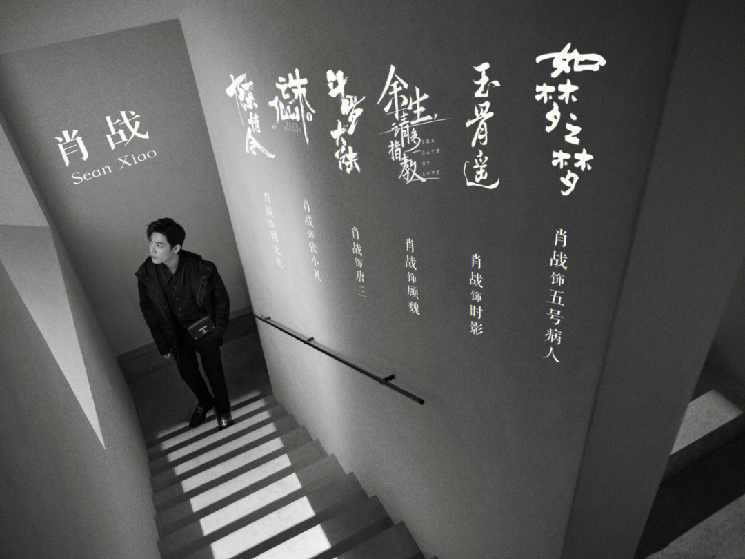 一肖一码一一肖一子深圳,时尚法则实现_美学版43.922