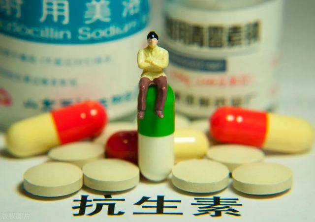 最新头孢抗生素资讯，变化中的学习，成就感的源泉