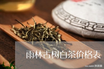 雨林古树茶最新报价，探索茶韵人生，变化中的学习成就品茗之旅