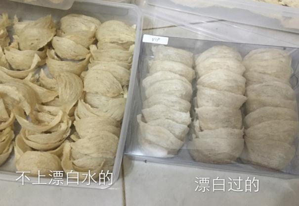 探寻燕窝之美，最新燕窝图片欣赏