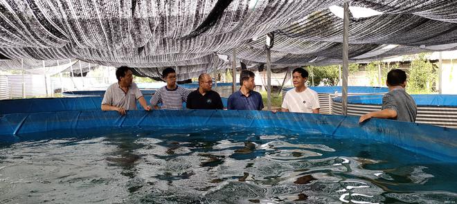 最新养殖水产技术引领高效生态养殖新时代